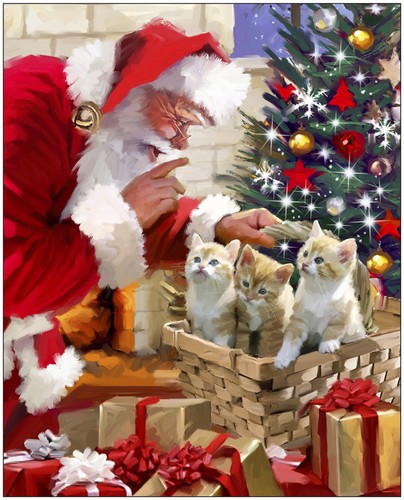 Natale babbo gattini - natale,