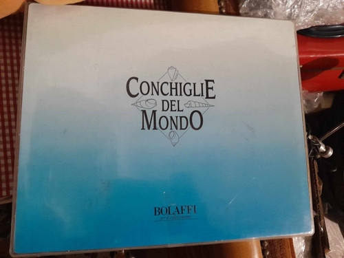 Conchiglie del mondo bolaffi - conchiglie,