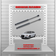 2 MOLLE A GAS BAGAGLIAIO AUDI