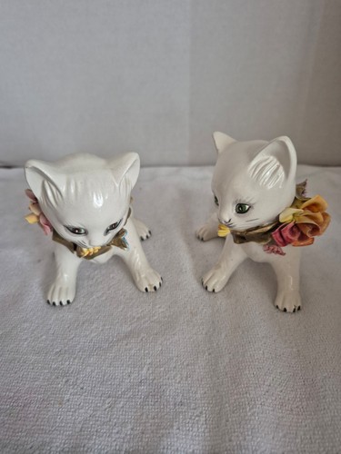 Gattini bianchi capodimonte - gattini,