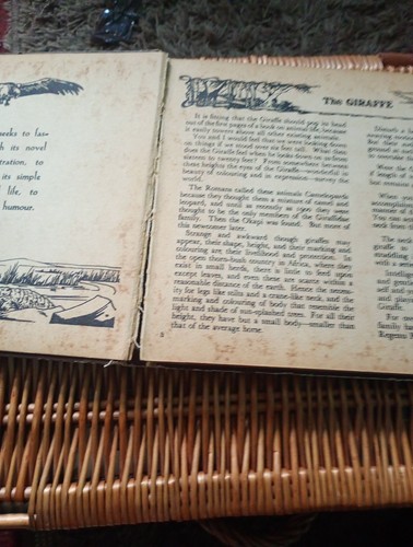 Pod stanley gibbons royal - stanley,