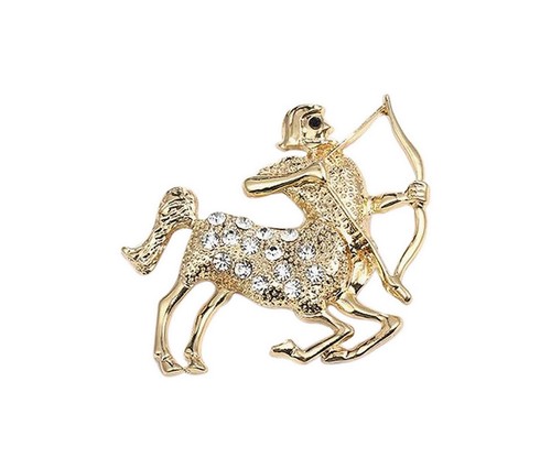 Broche bijou signe zodiaque - broche,