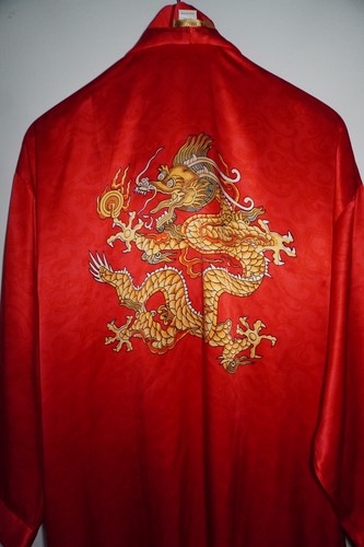 Abito adulto rosso seta - seta, stampa