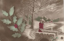 C3 - Cp Cartolina Augurale Natale Anno Donna Pungitopo Casetta Neve  - Fp Vg