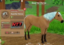Wild Horse Islands - pelle di