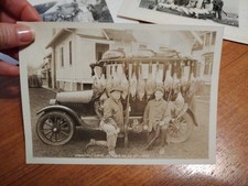Lotto foto caccia Alberta Canada Fallis Oche Manitou Sullivan Lake anni '20