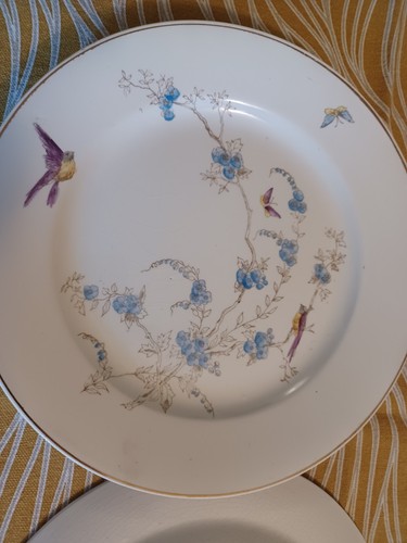 Gli uccelline farfalle - gli, e