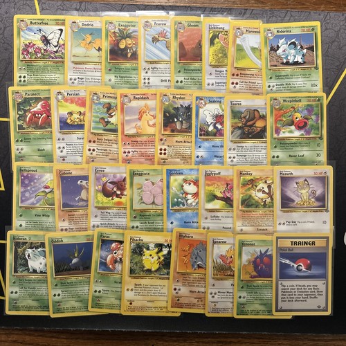Set completo giungla non
