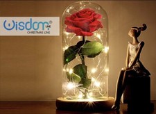 Decorazione Di Natale Luce A