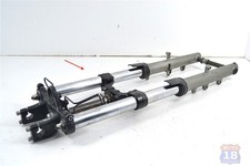 Forcella completa steli