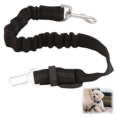Cintura per cani auto - cani, da