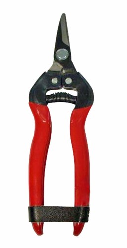 Forbici vendemmia 165mm lame - forbici,