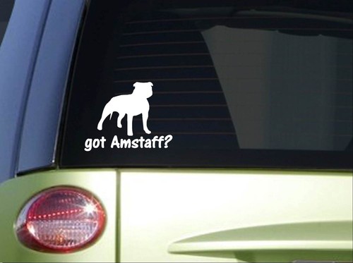 Adesivo got amstaff - ,
