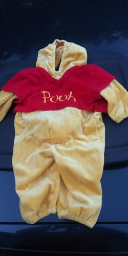 Winnie the pooh disney - winnie,