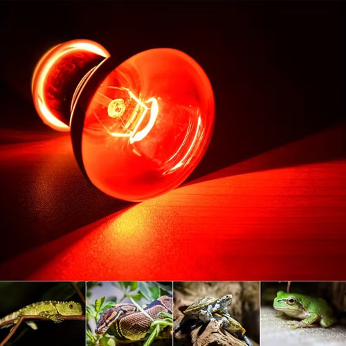 Lampada riscaldante