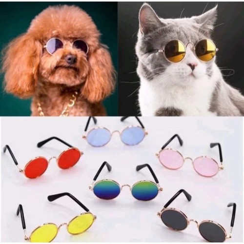 Pet accessories cat - pet,