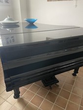 Pianoforte coda - pianoforte,