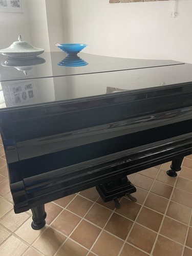 Pianoforte coda - pianoforte,