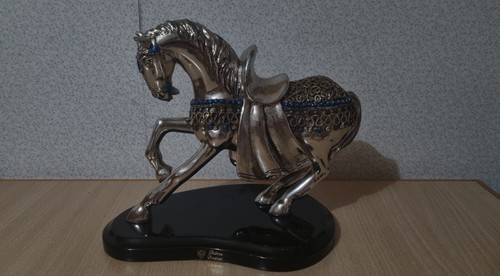 Cavallo argentone - cavallo,