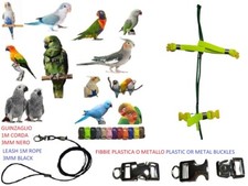 Pettorina pappagalli VERDE