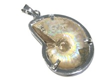 ciondolo ammonite madreperla