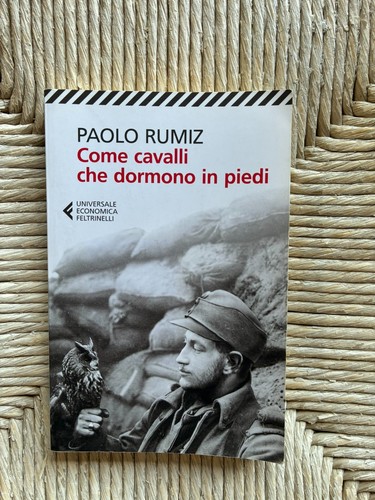 Come cavalli che dormono - cavalli,