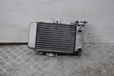 60435 Radiatore Honda PS 150ie
