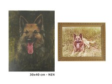 RITRATTO DI UN CANE PASTORE