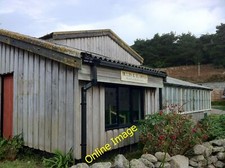 Photo 12x8 Bulbs & Blooms Middle Town On St. Martin's, Isles of Scill c2011