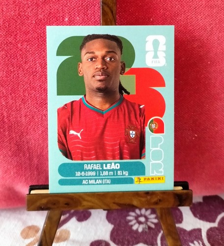 Panini fifa world - world,