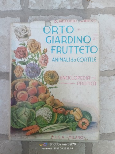 Raro manuale epigono hoepli - epigono,