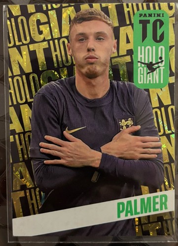 Panini adrenalyn top class - panini,