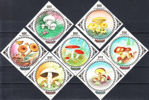 Mongolia 1985 flora piante - 1985,
