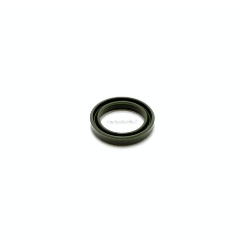 Paraolio trim motore - paraolio,