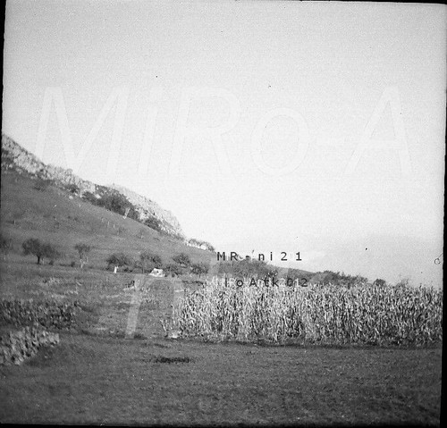 Foto negativo ww2 wehrm - foto, wehrm.