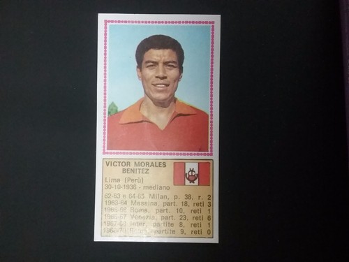 Album panini calciatori - panini,