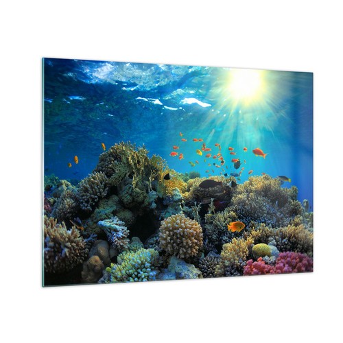 Quadro vetro 70x50cm - quadro,