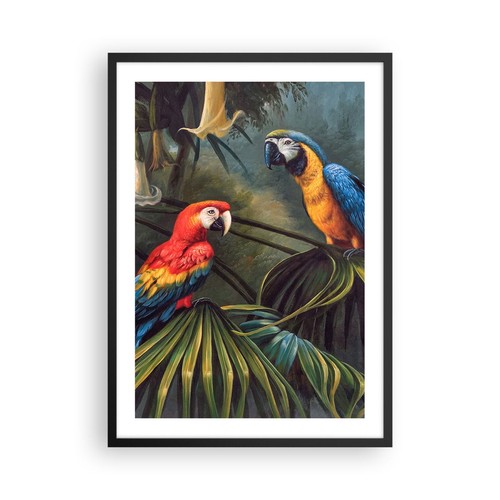 Poster 50x70cm ara - 50x70cm, pappagalli