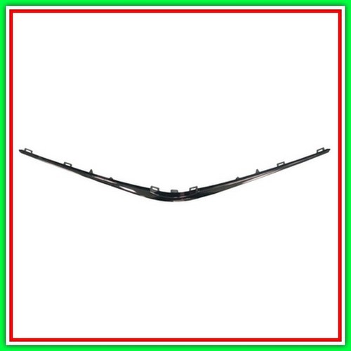 Modanatura griglia radiatore - modanatura,