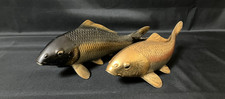 Coppia carpa koi giapponese