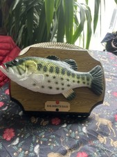 Raro pesce basso bocca grande