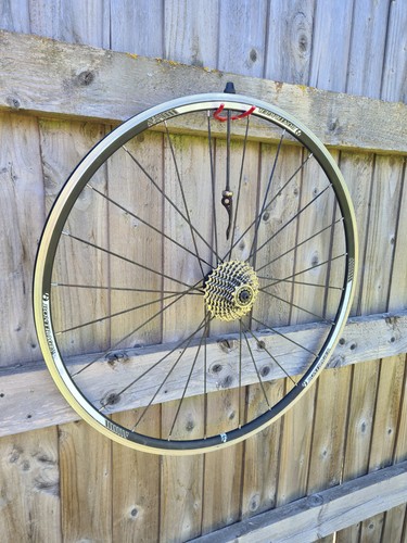 Bontrager ruota posteriore