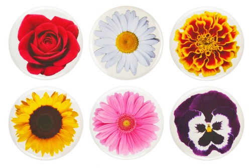 Magneti frigorifero fiori - da,