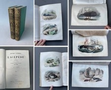 Libro antico, Spartani, Storia