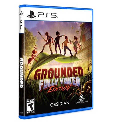 Grounded full yoked - edition,
