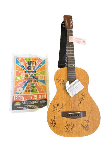 Chitarra acustica happy - chitarra,