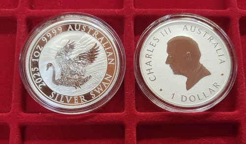 Australia dollaro 2025 - 1,