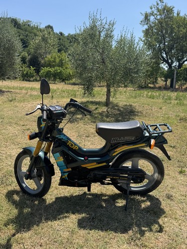 Malaguti fifty top con - malaguti,