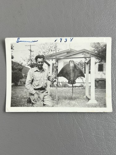 Foto istantanea vintage