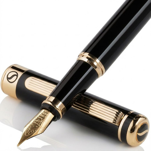 Penna stilografica nera - stilografica,